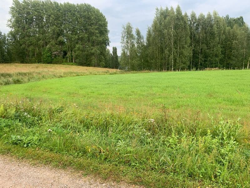 Majaniemi