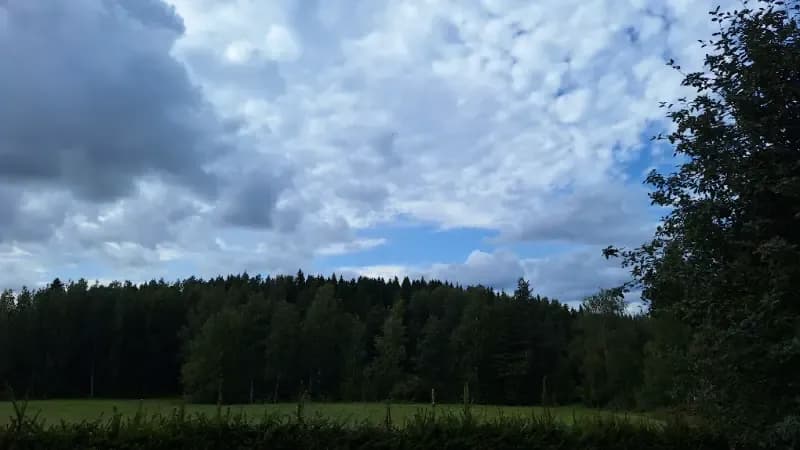 Kankaanlahti