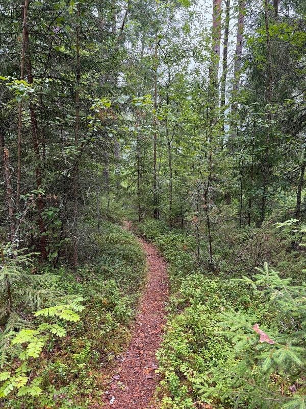 Mannilanharju