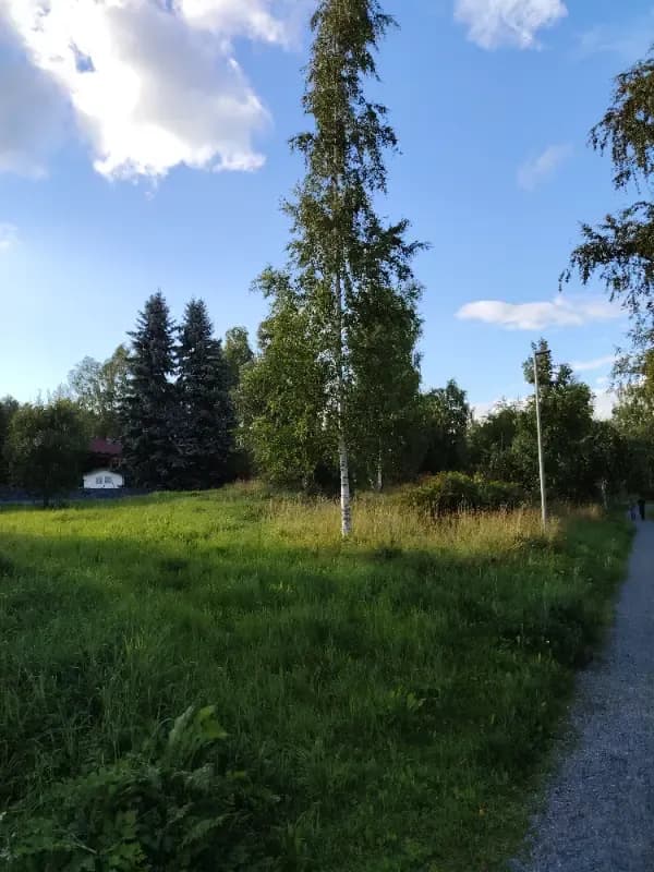 Ylivesi/Tyrkkölä