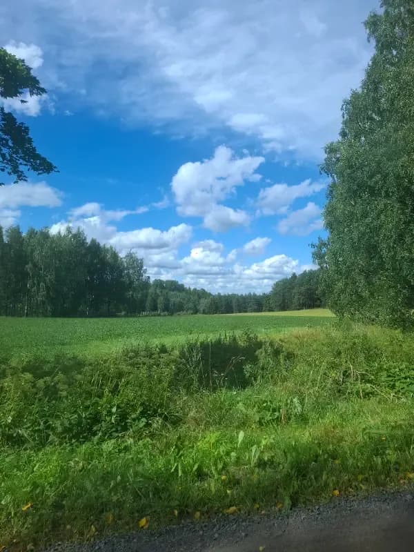 Kalkunmäki Oravainen