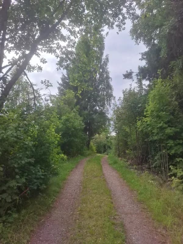 Kolkko