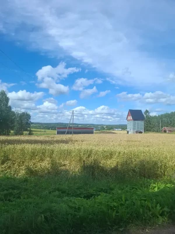 Kalkunmäki Tipiä 2