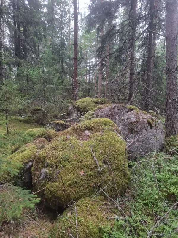 Lahti
