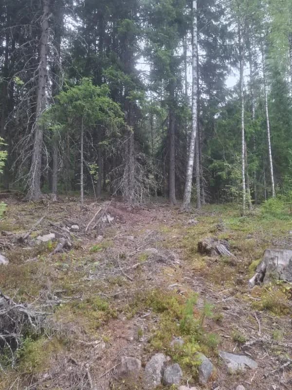 Lahdenkallio