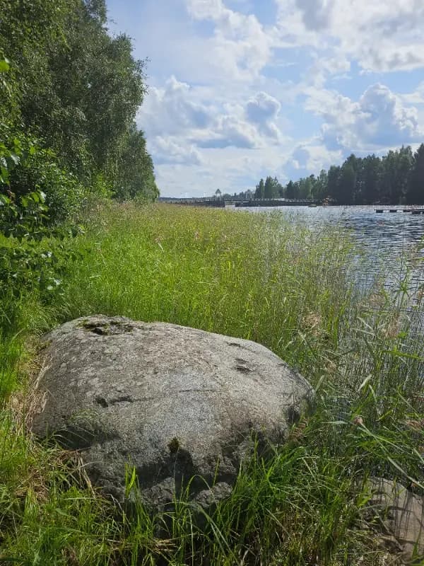 Porthanin puisto