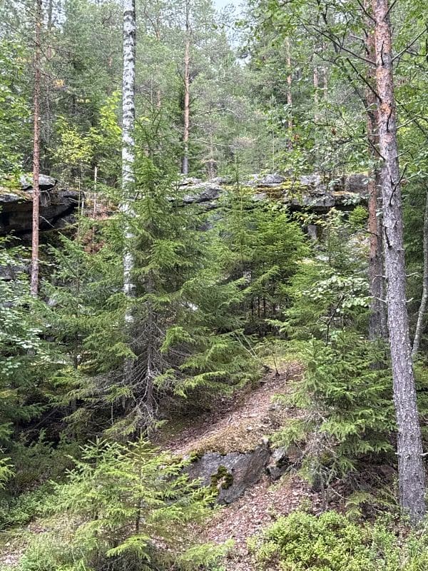 Pöllyvaara