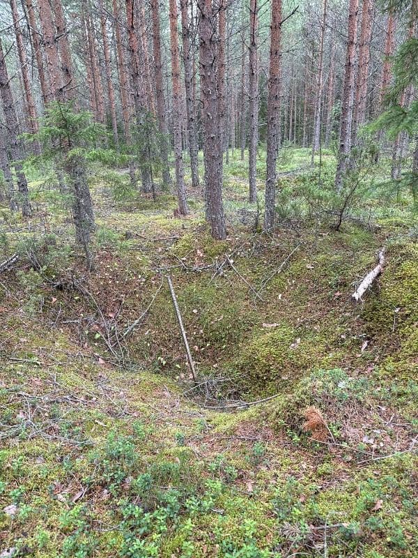 Kontiosaari