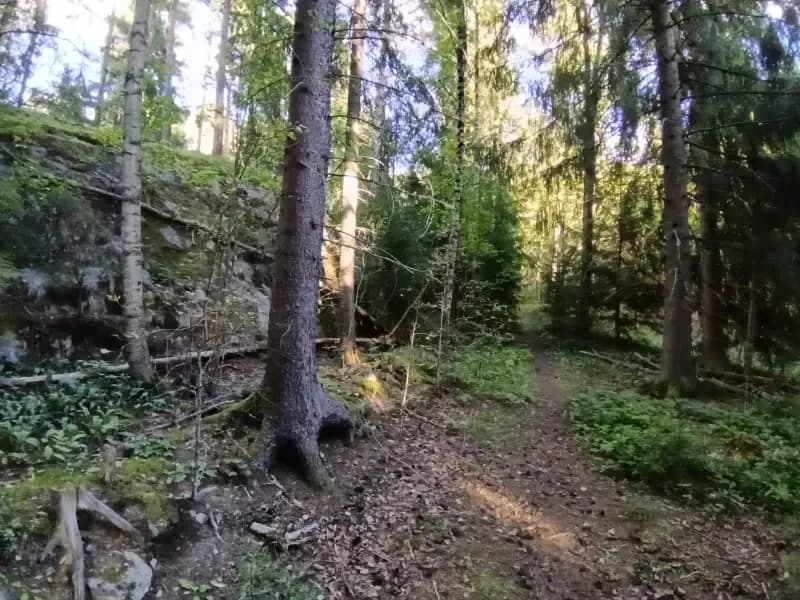 @PaukkuPete