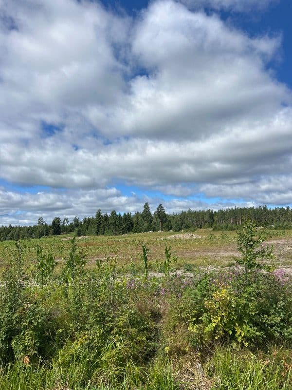 Kärrilä