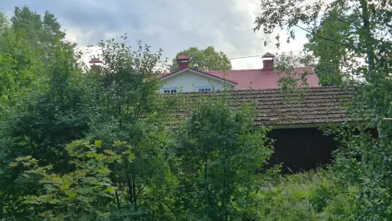 @ujalka