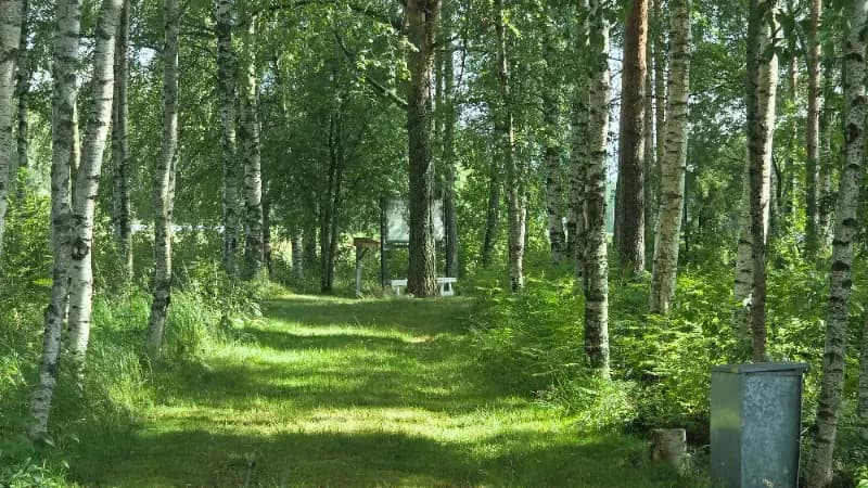 Ristisaari