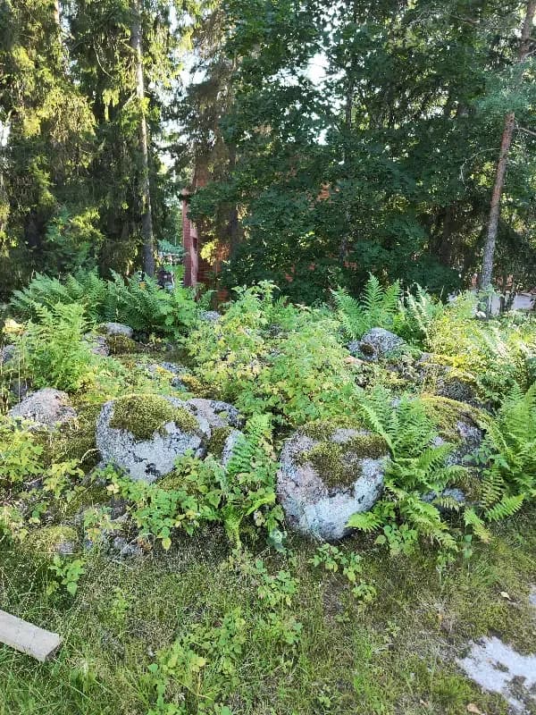 @paukkuliina