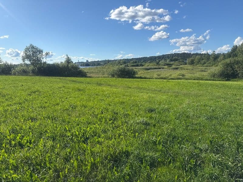 @pululintu
