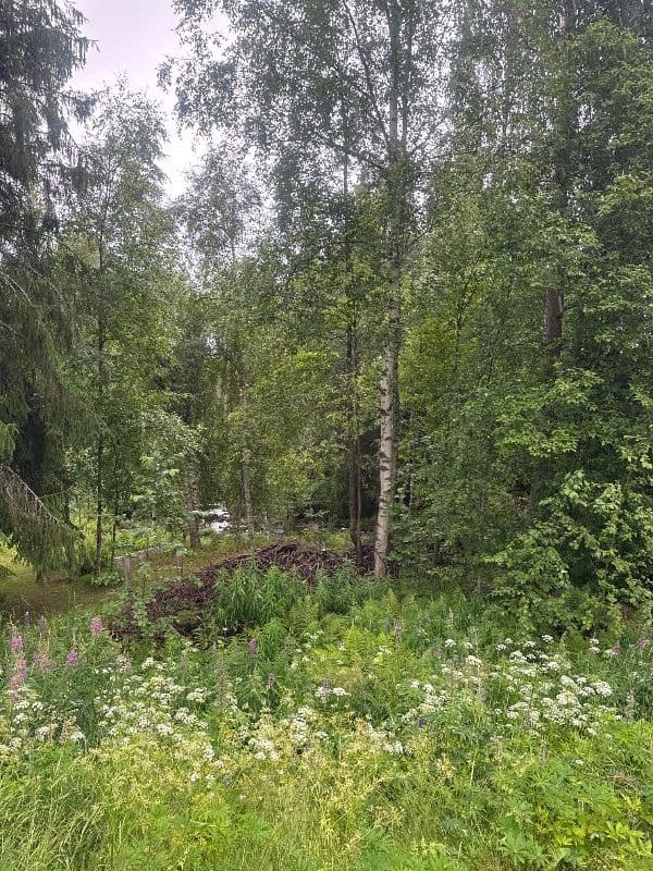 @pululintu