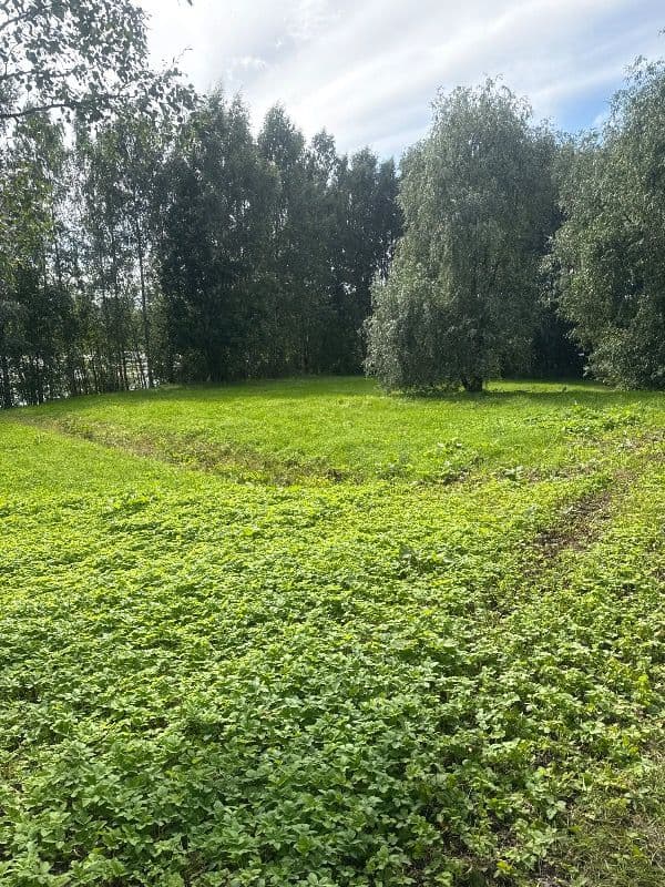 @pululintu