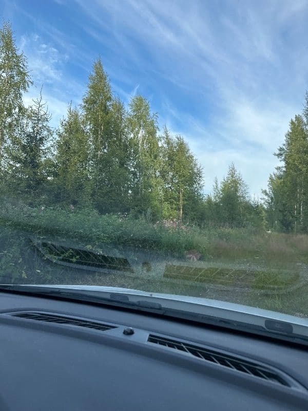 Jouttikallio 5
