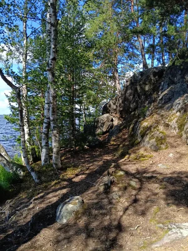 @Lamminen