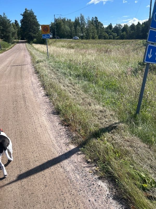 Ojala