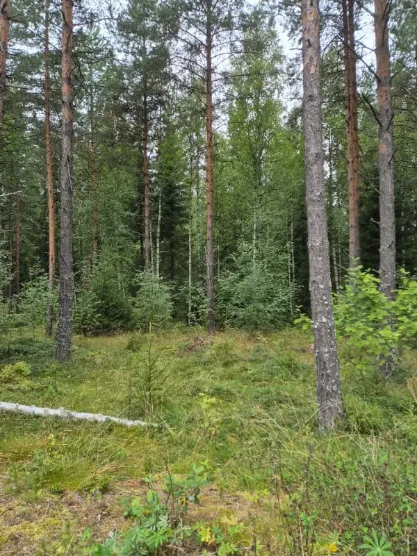 @Henriika