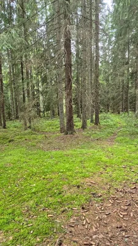 @Henriika