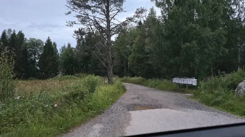 @Bonamus