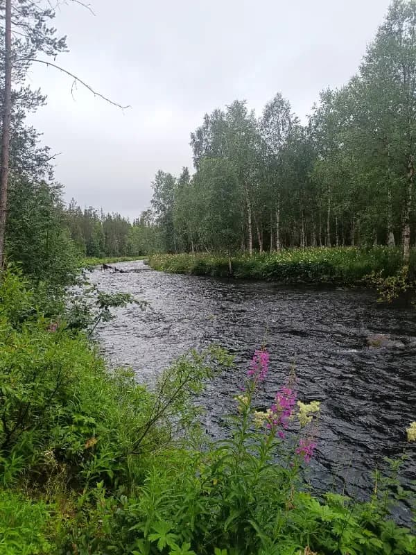 Karila