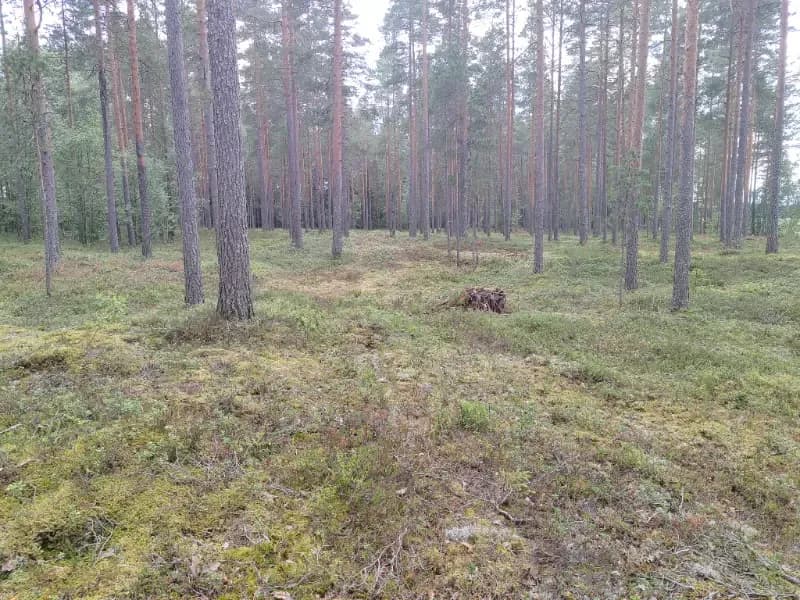 @Aleksi_KR