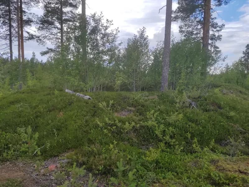 @Aleksi_KR