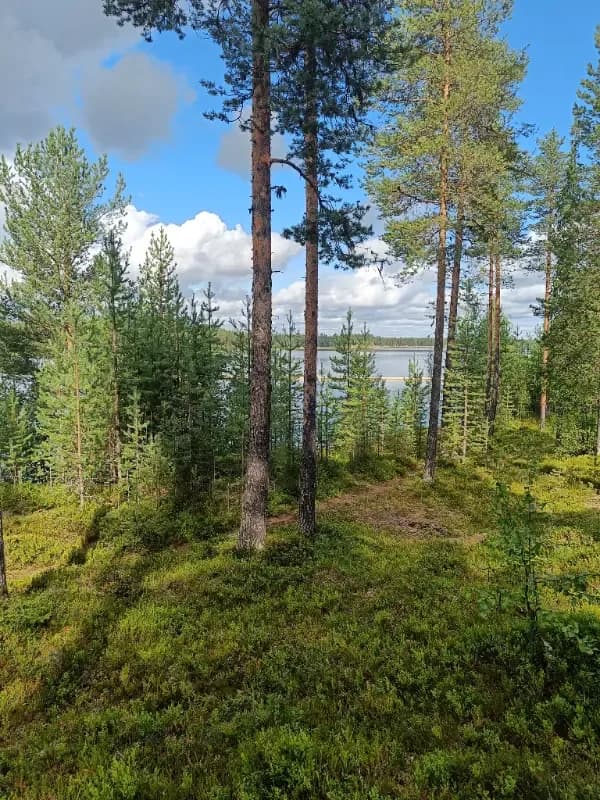 Kelukoski
