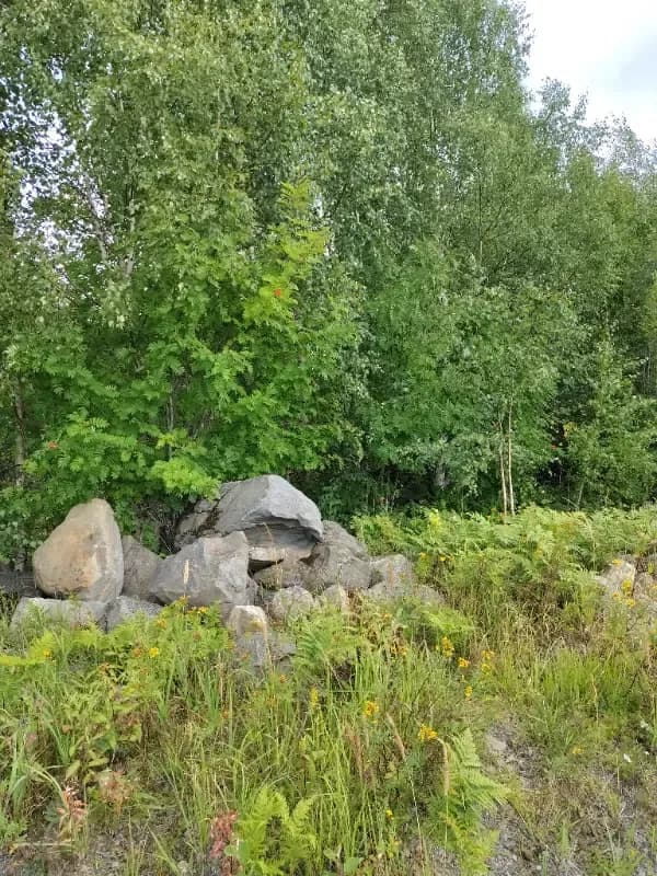 Kannisto