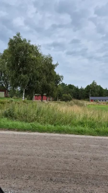 Radansuu