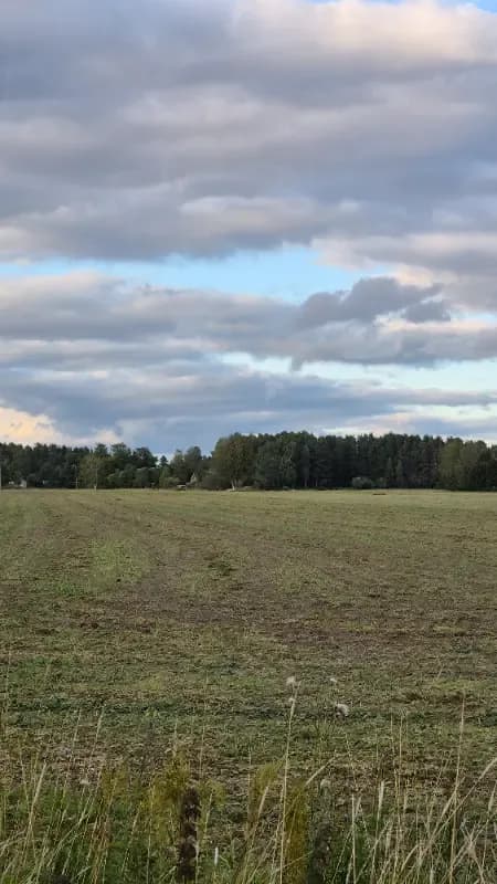 @Rami