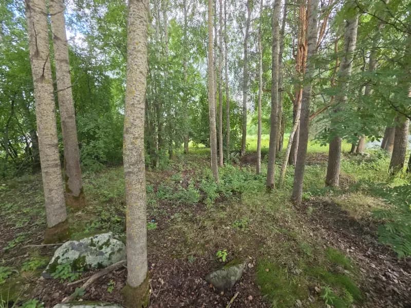 Aapraiminmäki