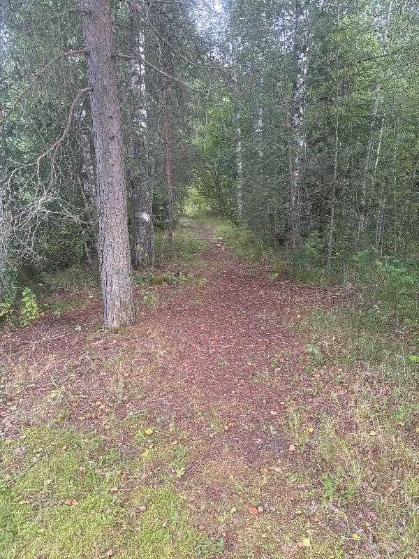 Laidetie Penttilä