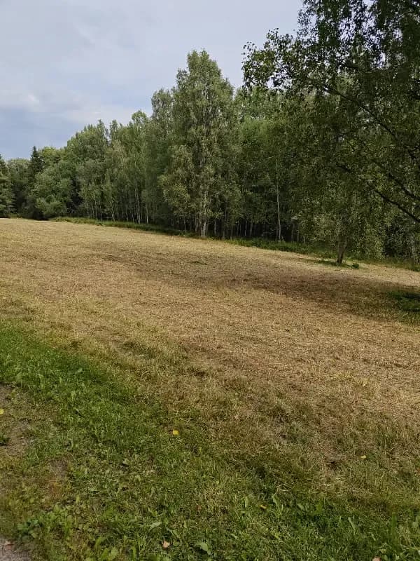 @Kulkija