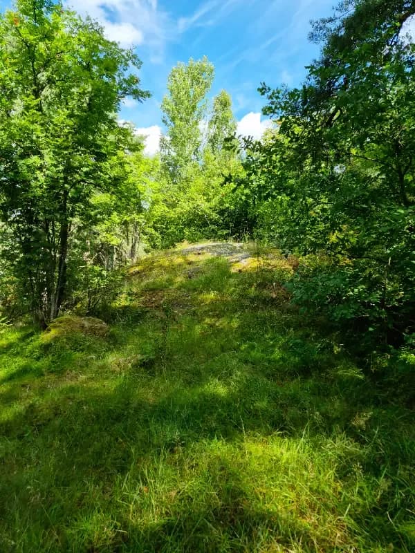 Sotkanlinna