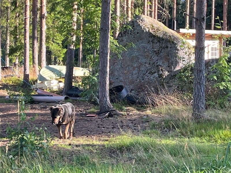 Kivimäki
