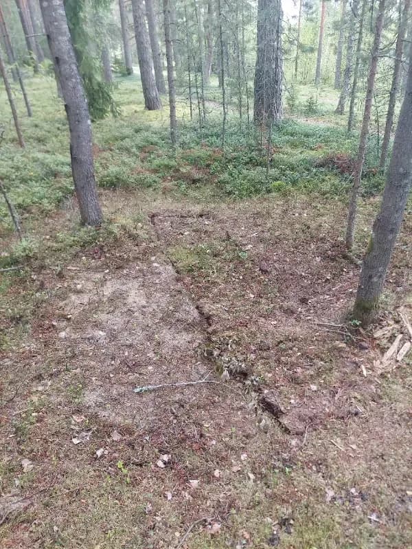 Tahinniemi 2