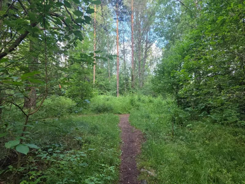 @kuivate