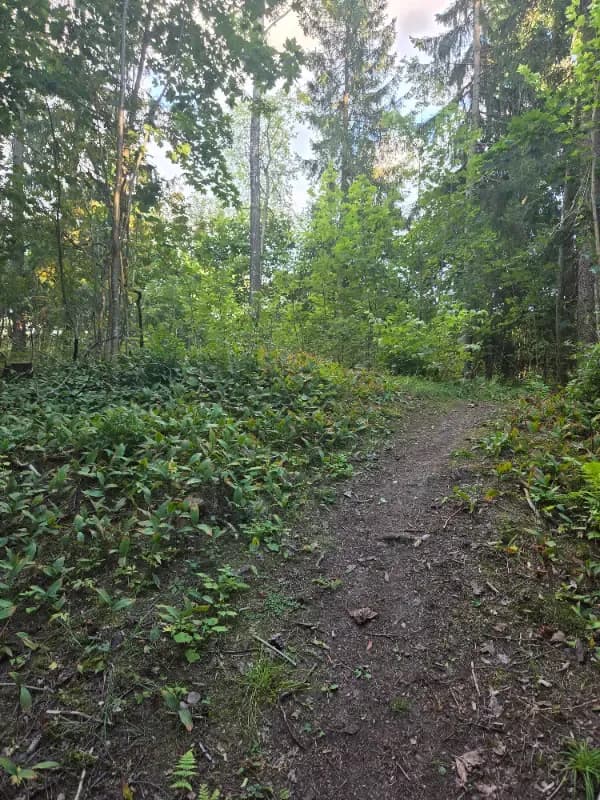 @kuivate