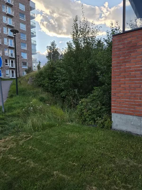 @kuivate