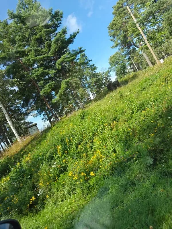 @Koutsi