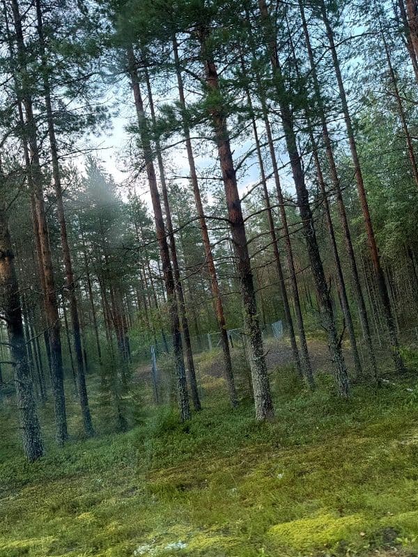 Käpylä pumppaamo